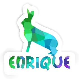 Enrique Aufkleber Hase Image