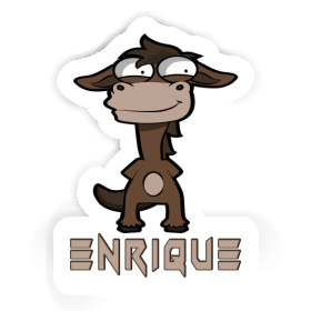 Enrique Autocollant Cheval Image