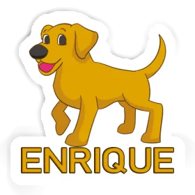 Sticker Enrique Labrador Image