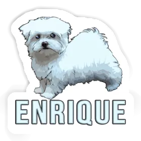 Aufkleber Hündchen Enrique Image