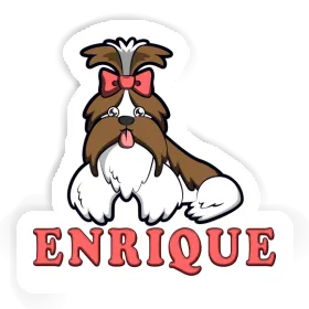 Aufkleber Enrique Shih Tzu Image