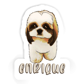 Enrique Aufkleber Shih Tzu Image