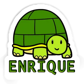 Aufkleber Schildkröte Enrique Image