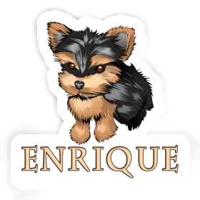 Enrique Aufkleber Yorkie Image