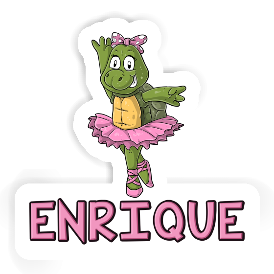 Sticker Schildkröte Enrique Gift package Image