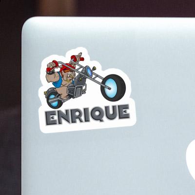 Sticker Hund Enrique Notebook Sticker Hund Enrique Notebook Image