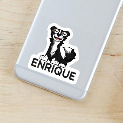 Sticker Border Collie Enrique Laptop Sticker Border Collie Enrique Laptop Image