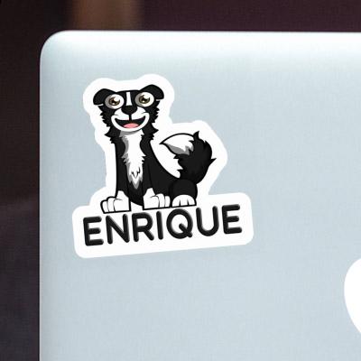 Sticker Border Collie Enrique Notebook Sticker Border Collie Enrique Gift package Image