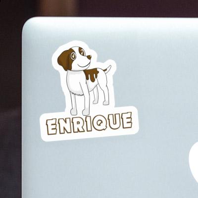 Bretagne Hund Aufkleber Enrique Notebook Bretagne Hund Aufkleber Enrique Gift package Image