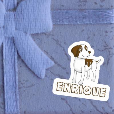 Enrique Autocollant Bretagne chien Enrique Autocollant Bretagne chien Image