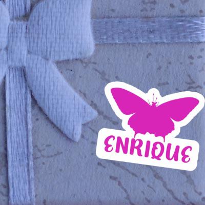 Schmetterling Sticker Enrique Notebook Schmetterling Sticker Enrique Notebook Image