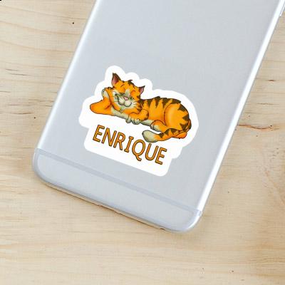 Aufkleber Enrique Katze Notebook Aufkleber Enrique Katze Gift package Image
