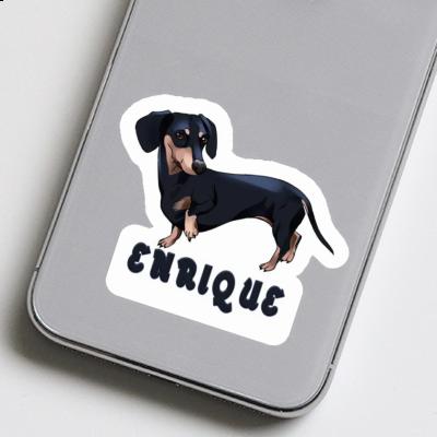 Enrique Sticker Dachshund Gift package Image
