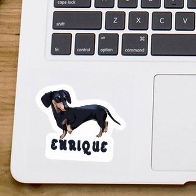 Enrique Sticker Dachshund Image
