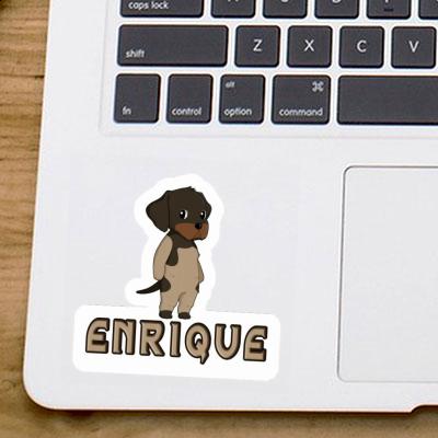 Aufkleber Deutsch Drahthaar Enrique Notebook Aufkleber Deutsch Drahthaar Enrique Gift package Image