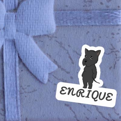 Enrique Sticker Riesenschnauzer Laptop Enrique Sticker Riesenschnauzer Laptop Image