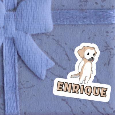 Golden Retriever Sticker Enrique Notebook Golden Retriever Sticker Enrique Gift package Image