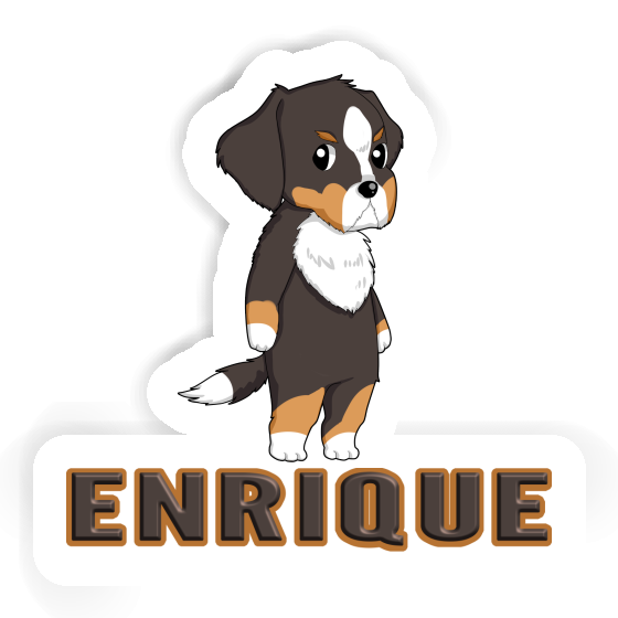 Berner Sennenhund Sticker Enrique Berner Sennenhund Sticker Enrique Image