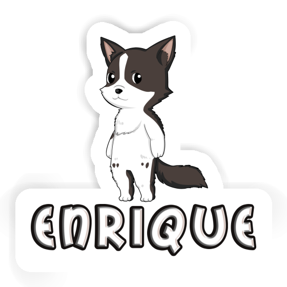 Enrique Aufkleber Border Collie Laptop Enrique Aufkleber Border Collie Laptop Image