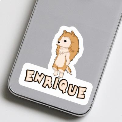 Collie Aufkleber Enrique Notebook Collie Aufkleber Enrique Gift package Image