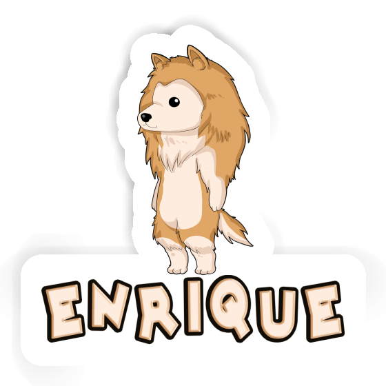 Collie Aufkleber Enrique Notebook Collie Aufkleber Enrique Gift package Image