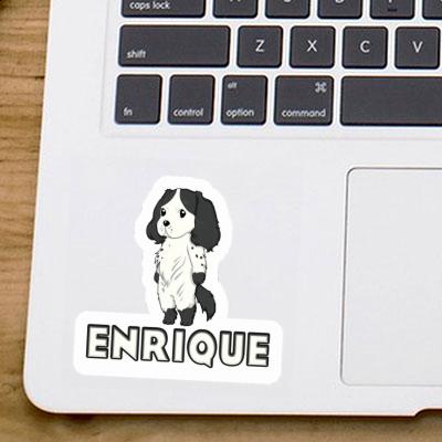 Sticker Cocker Spaniel Enrique Sticker Cocker Spaniel Enrique Image
