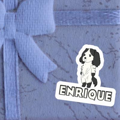 Sticker Cocker Spaniel Enrique Sticker Cocker Spaniel Enrique Image