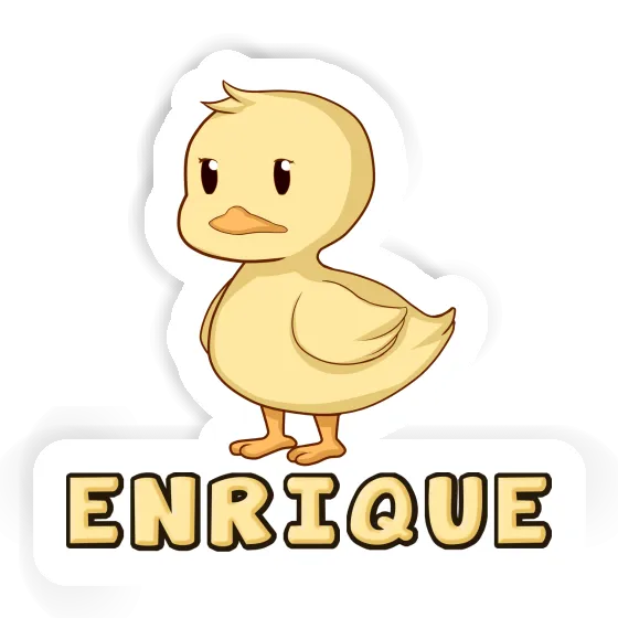 Enrique Aufkleber Ente Image