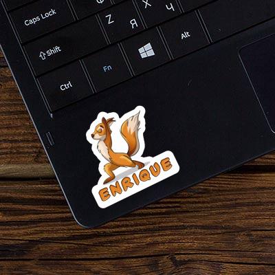 Yoga Squirrel Sticker Enrique Notebook Yoga Squirrel Sticker Enrique Gift package Image
