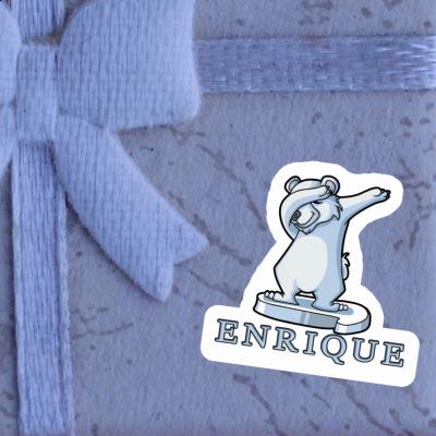 Autocollant Ours polaire Enrique Notebook Autocollant Ours polaire Enrique Gift package Image