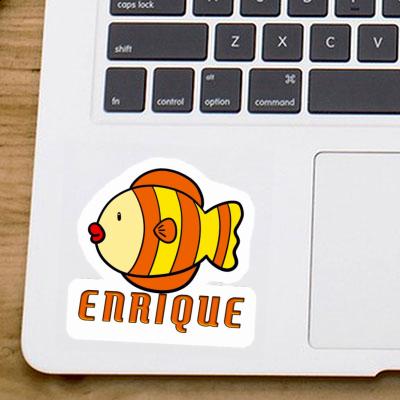 Autocollant Poisson Enrique Notebook Autocollant Poisson Enrique Gift package Image