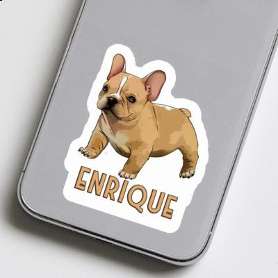 Autocollant Bouledogue Enrique Notebook Autocollant Bouledogue Enrique Gift package Image