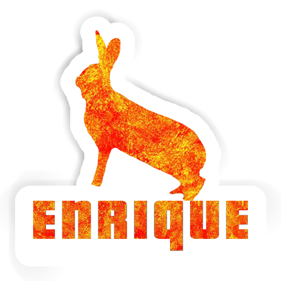 Lapin Autocollant Enrique Notebook Lapin Autocollant Enrique Gift package Image