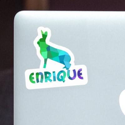 Lapin Autocollant Enrique Notebook Lapin Autocollant Enrique Gift package Image