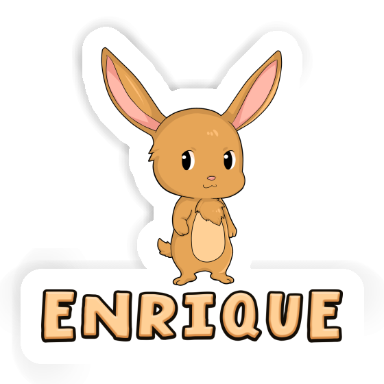 Autocollant Lapin Enrique Laptop Image