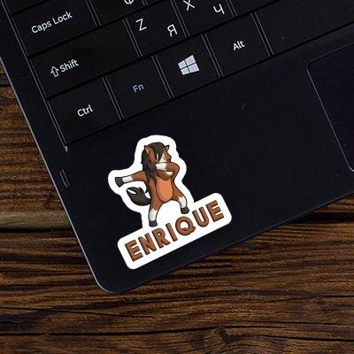 Pferd Sticker Enrique Image