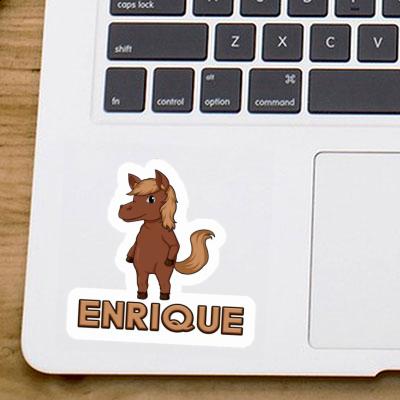 Horse Sticker Enrique Notebook Image