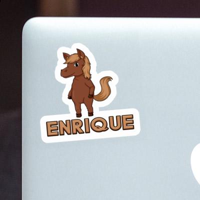 Pferd Aufkleber Enrique Gift package Image