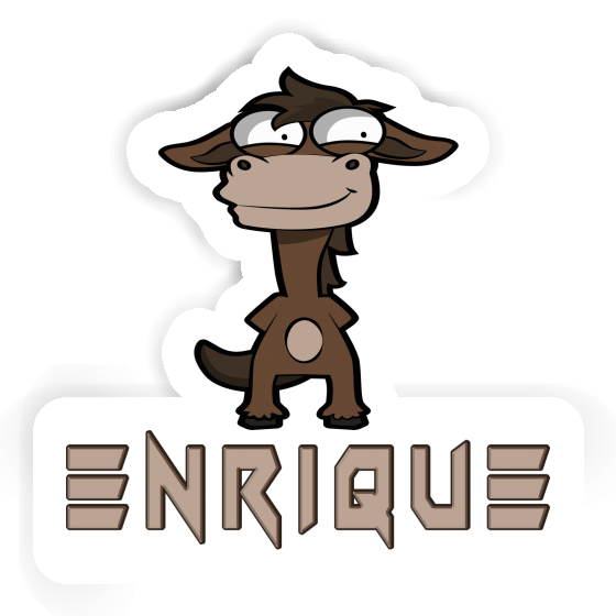 Enrique Autocollant Cheval Notebook Enrique Autocollant Cheval Gift package Image