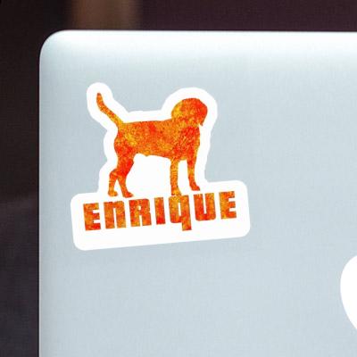 Hund Aufkleber Enrique Notebook Hund Aufkleber Enrique Gift package Image
