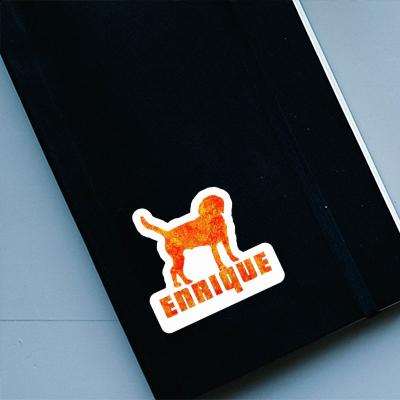 Autocollant Chien Enrique Notebook Autocollant Chien Enrique Gift package Image