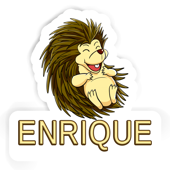 Igel Aufkleber Enrique Laptop Image