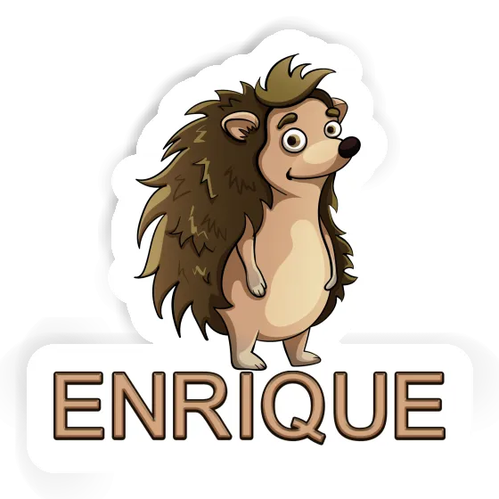 Igel Sticker Enrique Notebook Image
