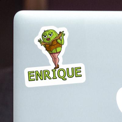 Autocollant Enrique Kiwi Notebook Autocollant Enrique Kiwi Notebook Image