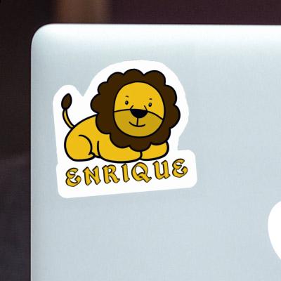 Autocollant Lion Enrique Notebook Autocollant Lion Enrique Gift package Image