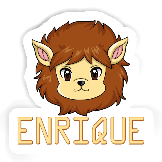 Löwe Aufkleber Enrique Gift package Image