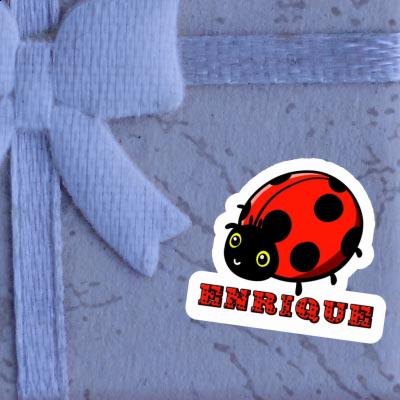 Autocollant Coccinelle Enrique Autocollant Coccinelle Enrique Image