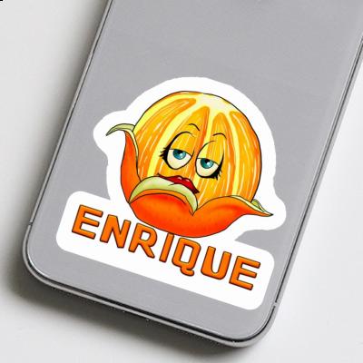Aufkleber Orange Enrique Gift package Image