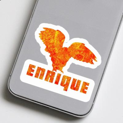 Owl Sticker Enrique Notebook Owl Sticker Enrique Gift package Image