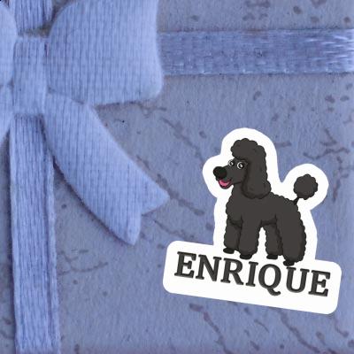 Autocollant Enrique Caniche Notebook Autocollant Enrique Caniche Gift package Image
